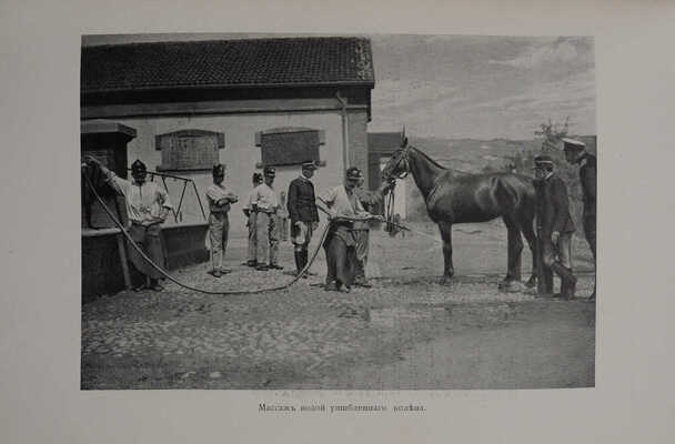 Итальянская кавалерийская школа и новый метод полевой езды и обучения ей. СПб., 1911.